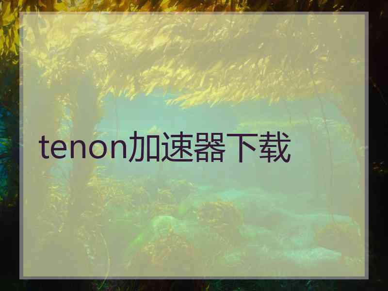 tenon加速器下载