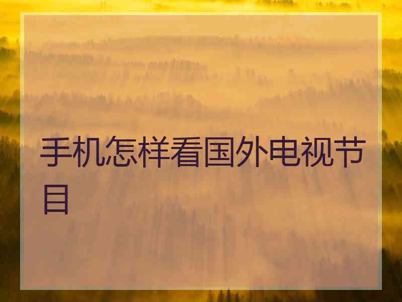 手机怎样看国外电视节目